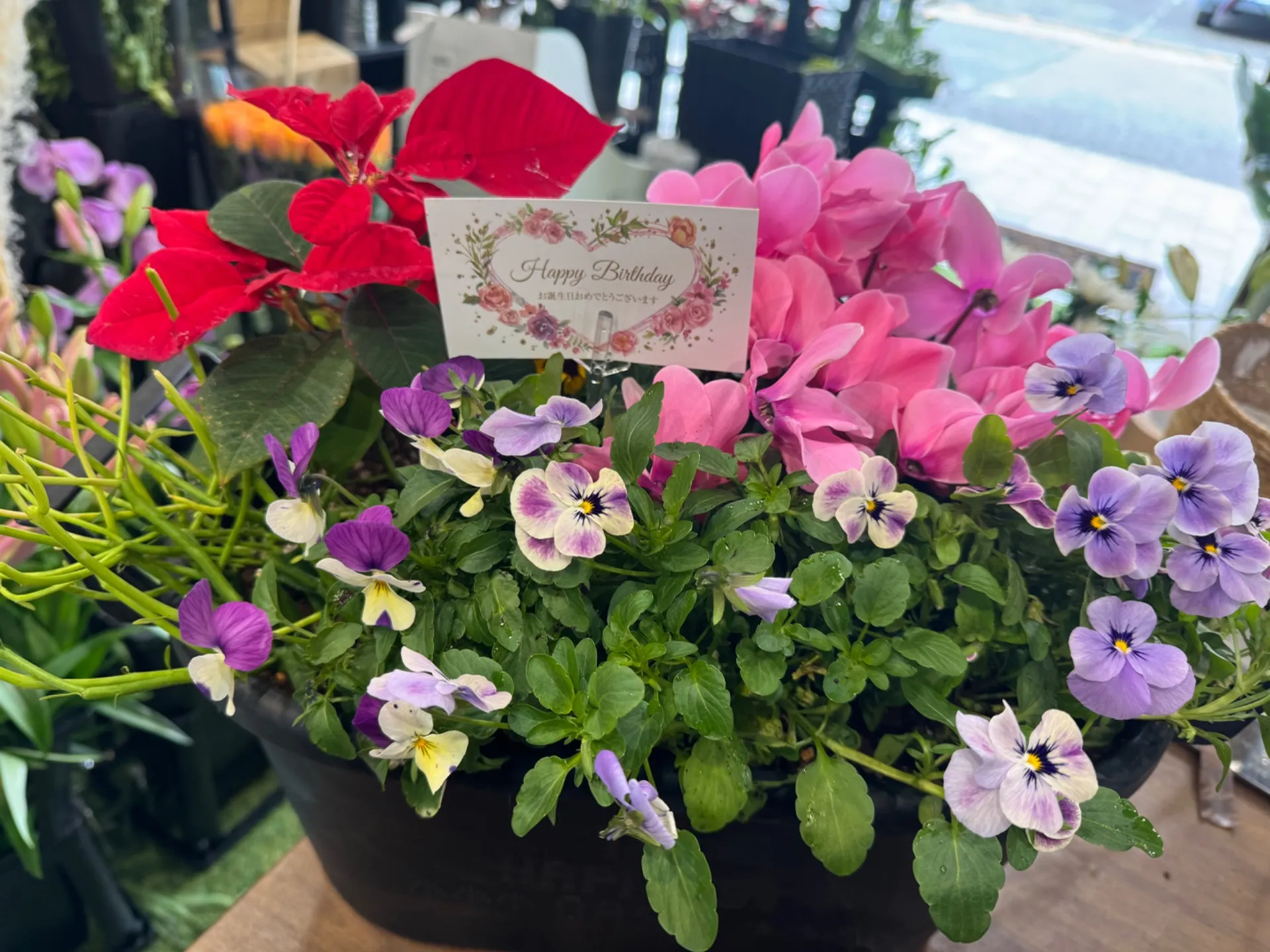 寄せ植えギフト