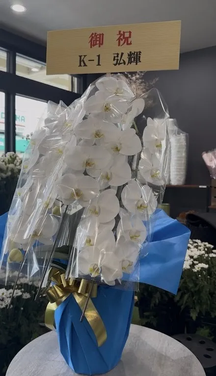 【胡蝶蘭】16,500yen〜